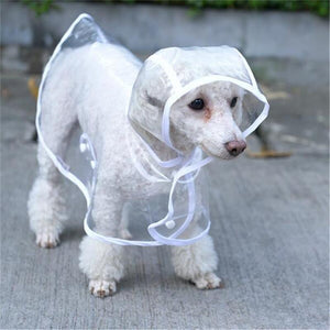 Dog Raincoat - Dreamy Hot Deals