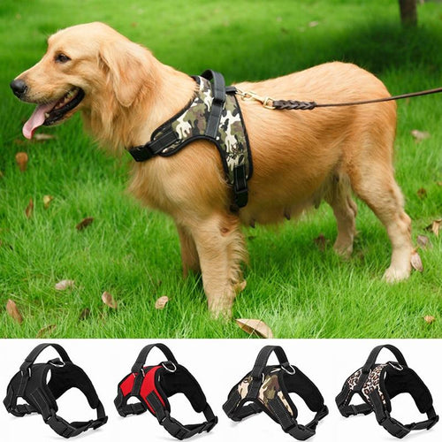 Heavy-Duty Adjustable Dog Harness